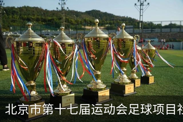 北京市第十七届运动会足球项目社会组暨第六届社区杯落幕