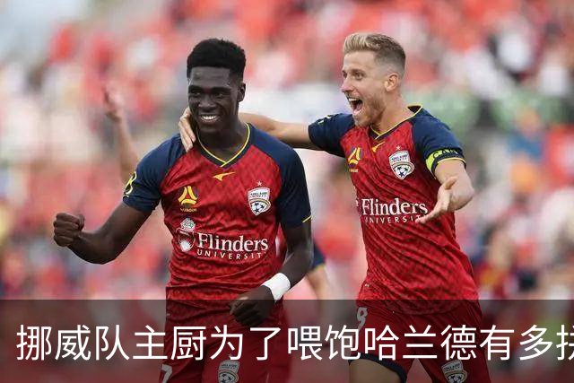 挪威队主厨为了喂饱哈兰德有多拼？他每天要补充6000卡路里热量，进入淘汰赛后球队紧急订购食材